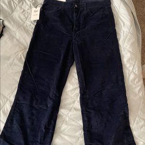 7 For All Mankind cropped velvet trouser jean